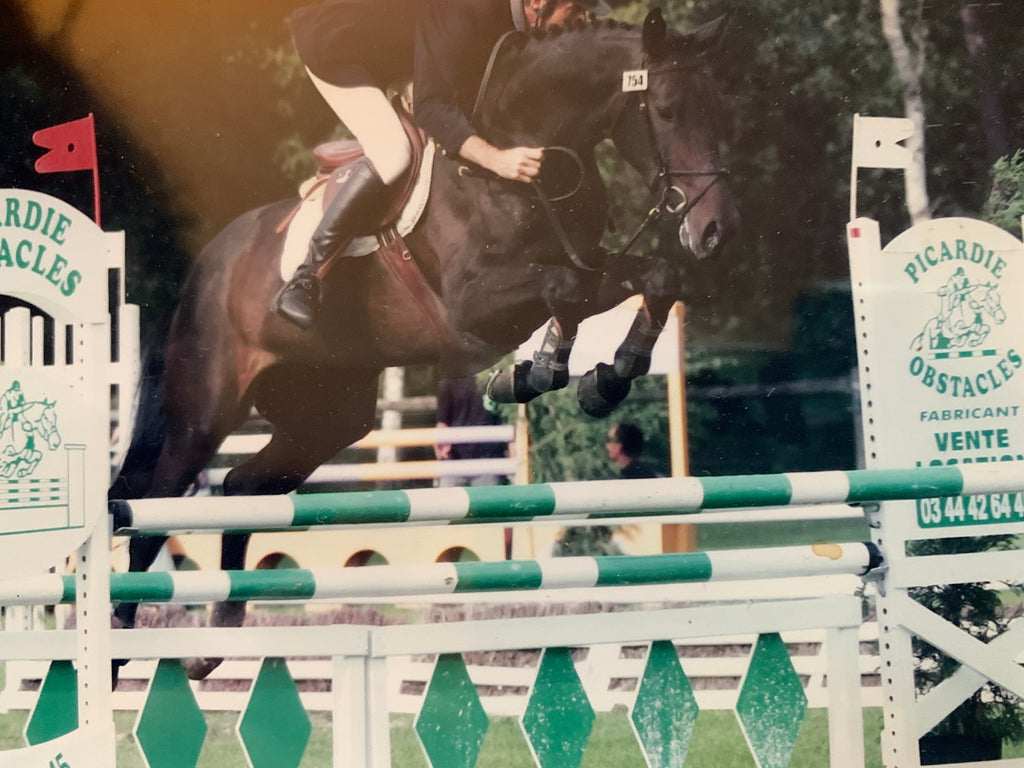 Les disciplines de l'Équitation : 13 sports équestres expliqués