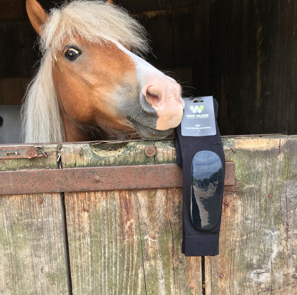 J'peux pas, j'ai poney : d'où ça vient ?