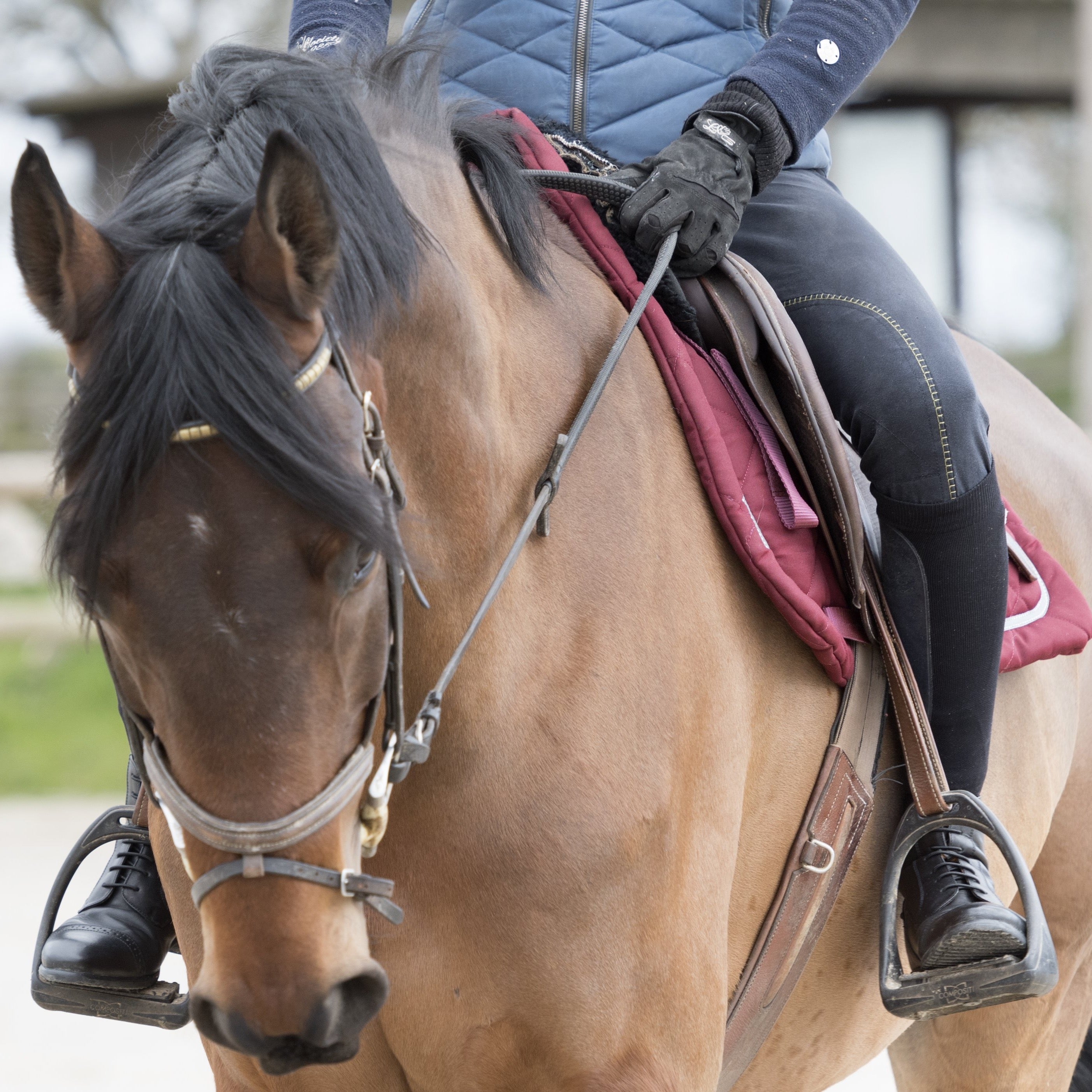 Les chaussettes d'équitation Fixity permettent de monter à cheval sans chaps et protègent l'intérieur du mollet du pincement de l'étrivière.