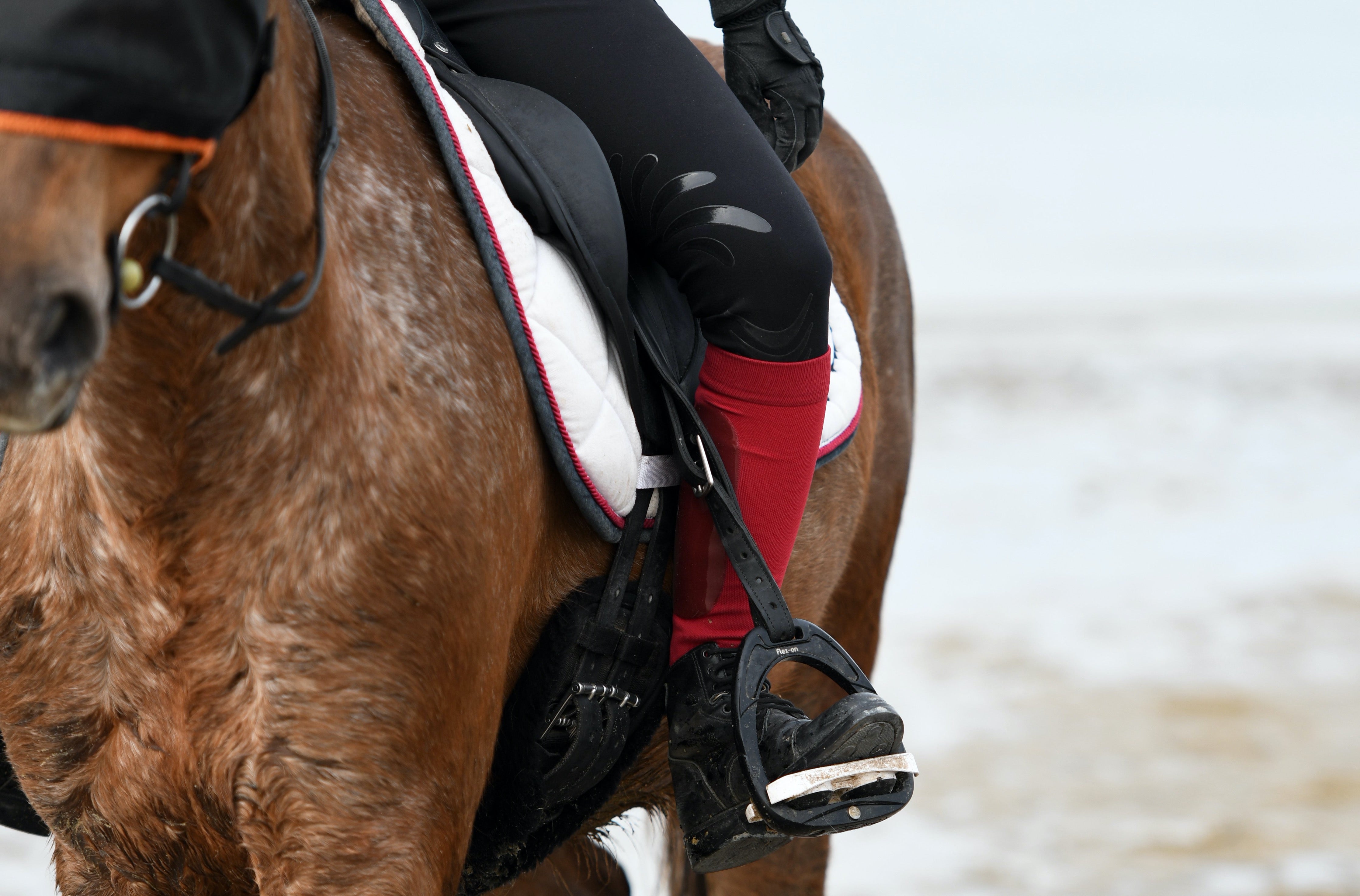 Les chaussettes d'équitation Fixity West Island sont idéales pour monter à cheval sur la plage.  