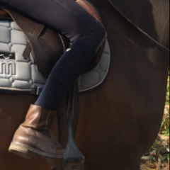 Chaussettes d'équitation Fixity West Island portées portées par une cavalière à cheval en forêt.